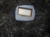 image of grave number 311147